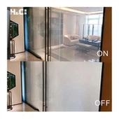 스마트 전환 가능한 도어 유리